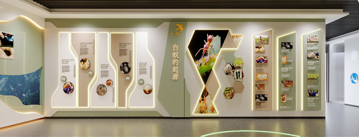 杭州水利工程白蚁防治实验室空间设计(图3)